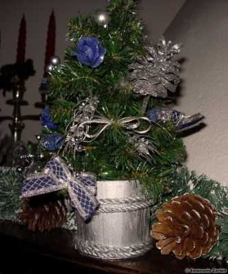 Clicca per immagine full size
 ============== 
Digitali
Natale 2007, la poesia di un istante.
Keywords: natale dicembre christmas