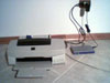 Digitus1